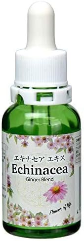 Echinacea Concentrated Extract (Made in Japan) Simply Mix with Water - BeesActive Australia
