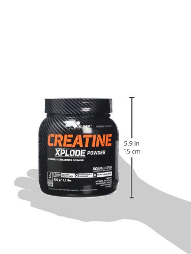 Olimp Labs Creatine Xplode Powder, Orange Flavour, 500 g Creatine Xplode Powder 500 g - Orange 500 g (Pack of 1) - BeesActive Australia