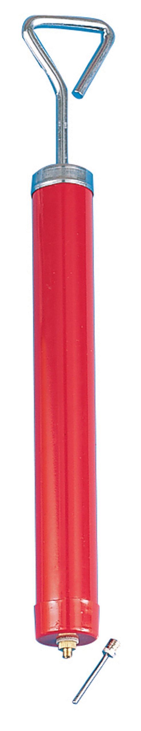Champion Sports 10-Inch Steel Pump - BeesActive Australia
