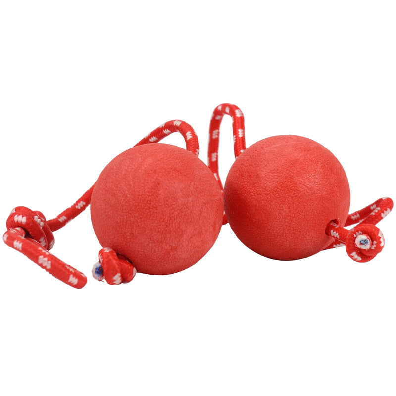 EDMISU Dog Leash Toys with Large Balls 2 Pack Dog Chew Toys Puppy Teething Toys Training Balls with Leash Exercise Toys for Large Medium Dogs - BeesActive Australia