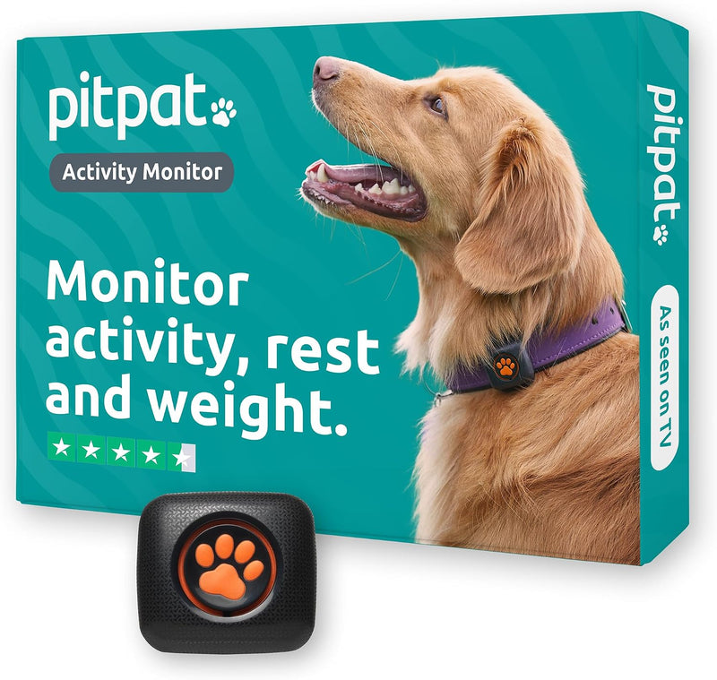 Pitpat - activity monitor for dogs