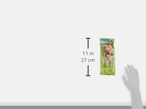 ARQUIVET Serrano Ham Bones, Pack of 3, 100% Natural, for Dogs, Chew Bones, Treats, Rewards - Natural Teether for Dogs 3 Pieces (Pack of 1) - BeesActive Australia