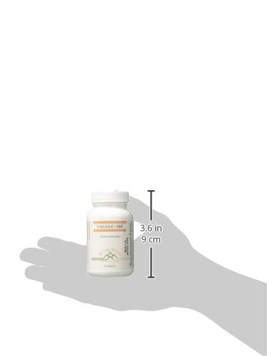 Nutri-West - Sago-C-500 90 Tablets by Nutri-West 90 Count (Pack of 1)