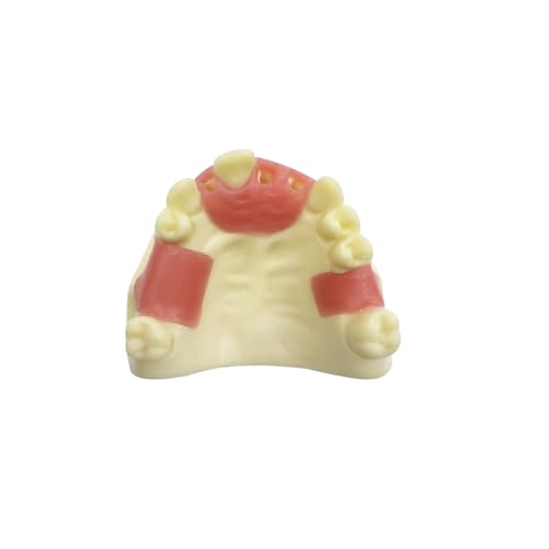 Dental Implant Practice Model, YOUYA DENTAL Maxillary Sinus Implant Model Dental Mandibular Sinus with Soft Gums for Dentist Student Studying Teaching Training Teaching Demonstration Clinic Model Maxillary Anterior Teeth Model