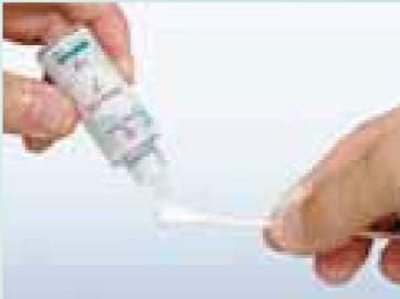 Herbal Brain Nose Oil with 15 Fluffy Cotton Swabs - BeesActive Australia