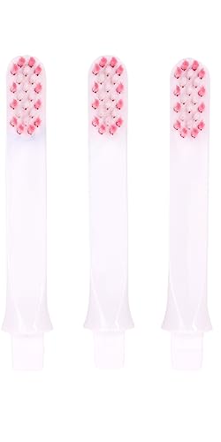 Toothbrush Bundle Shark