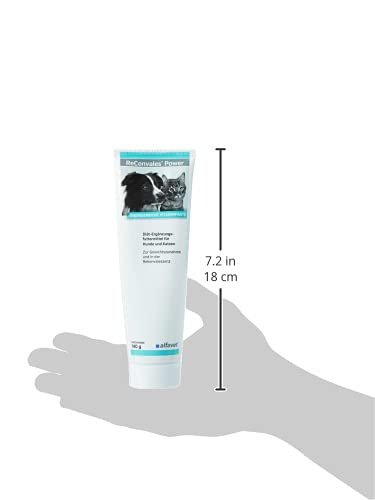 Alfavet ReConvales Power, supplementary food for dogs and cats, poplar paste for underweight, tube 140g 140 g single - BeesActive Australia