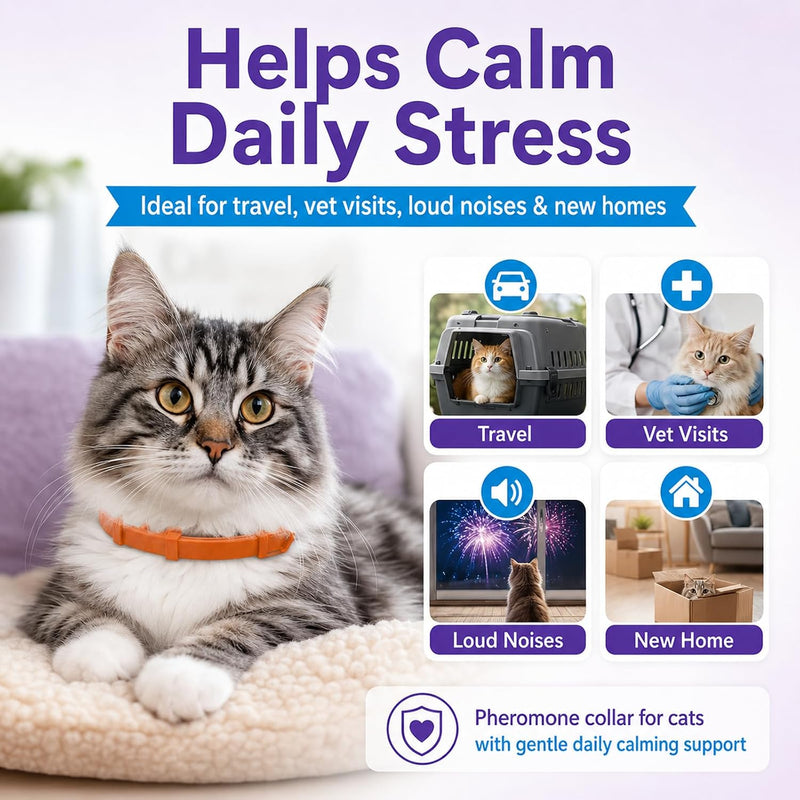 Calming Collar for Cats - Cat Calming Collar Infused with Synthetic Pheromones, Cat Pheromone Diffuser Necklace for Anxiety Relief, Travel, Keeping Quiet - 4 Weeks Supply Each Collar (Orange, 4P)