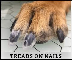 TAKTIKAL Dr. McHenry's Dog Toe Treads, Set of 24, Adhesive, Cleaning Brush, Increased Traction, Mobility Support, Large Kit- Weight: 40-60 lbs. Net Weight 1.6 oz. Large Kit - Weight: 40-60 lbs