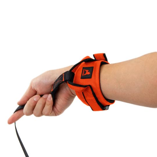 Gooby Easy Fit Wrist Band Surfer Leash - Orange, 6 FT - Comfortable Hands Free Leash with Elastic Band for Small, Medium and Large Dogs