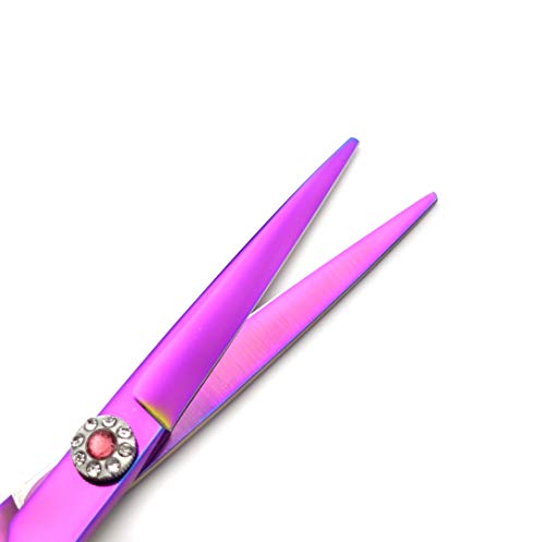 Professional Hair Cutting Scissors Set with Razor Comb Case,Hair cutting shears Hair Thinning shears with rose handle (6.0 inches) 6.0 Inch