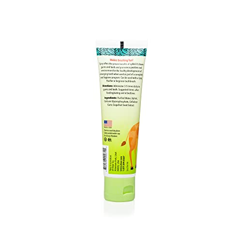 Spry Natural Kids Xylitol Tooth Gel, Original 2 Fl Oz (Pack of 4) 2 Fl Oz (Pack of 4)