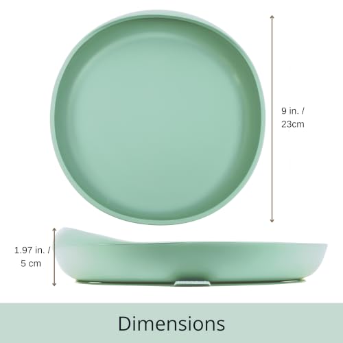 Modaliv Silicone Scooper Plate with Suction Base for Adults, Sage Green