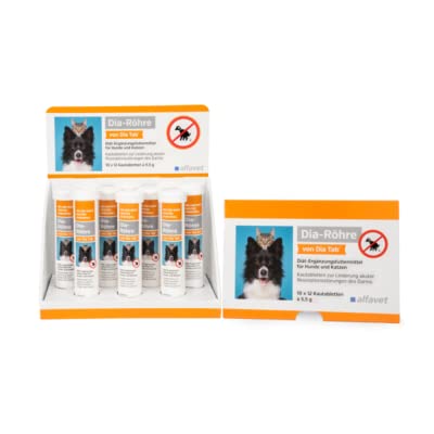 Alfavet Dia tube from Dia Tab | 1 x 12 x 5.5g | Supplementary food for dogs and cats for diarrhea | Can help reduce diarrhea | Ideal for on the go - BeesActive Australia