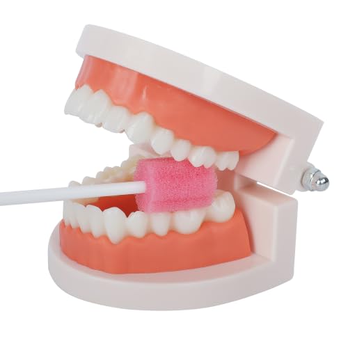 Safety Oral Swabs 250 PCS, Gum-Protective Mouth Swabs for Elderly, Pink Flower, Individually Wrapped（Unflavored）