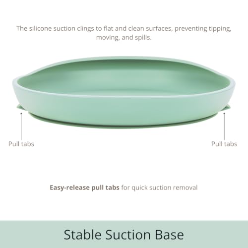 Modaliv Silicone Scooper Plate with Suction Base for Adults, Sage Green