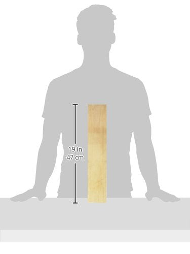 Graham-Field Basswood Splint, Pain Relief Wrap Support, Pack of 12, 1941