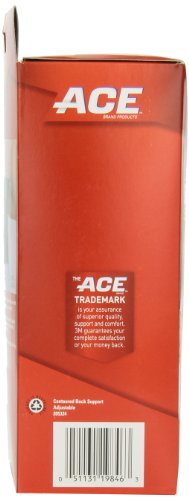 ACE Contoured Back Support,1 Count (Pack of 1),205324