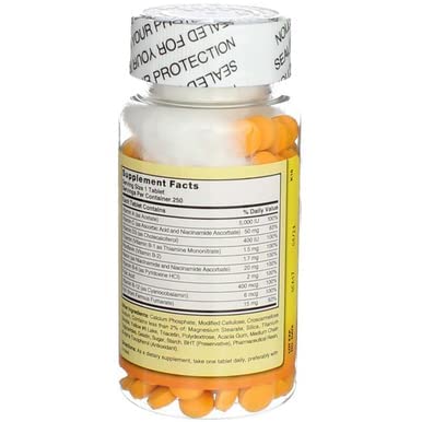 Nature's Blend Daily Vite Multivitamin 250 Tabs 250 Count (Pack of 1)