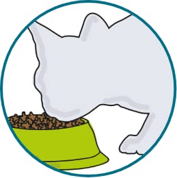 Porus Add One | Flavor Salmon | Double pack | 2 x 30 x 10g | Supplementary food for cats | Delicious pampering snack to mix in with Porus One - BeesActive Australia
