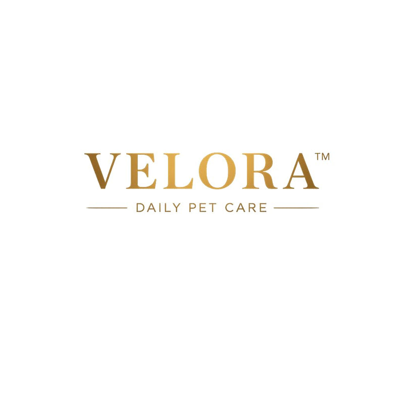 Velora Signature 5-in-1 Multivitamin Chews for Pets — Advanced Daily Wellness Support for Cardiac Health, Luxurious Skin & Coat, Digestive Comfort, Immune Defense, and Everyday Vitality • 90 Chews Dog