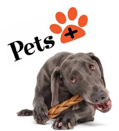 Pets Plus Premium Dog Treats – 3-Pack Braided Cheek Collagen Sticks for Dogs – Long-Lasting, Natural, High Protein Chew – Rawhide Alternative for Medium & Large Dogs 1 Ounce (Pack of 1)