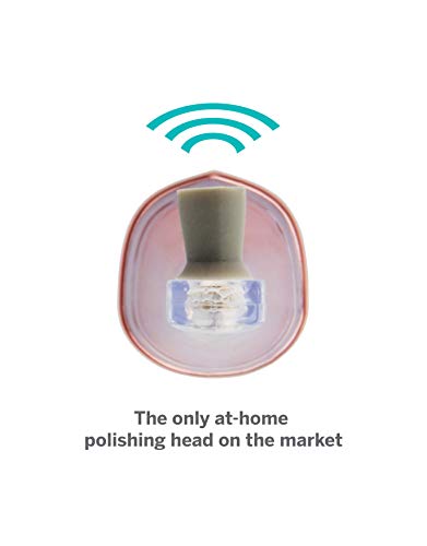 Supersmile Zina45 Replacement Polishing Head, Rose Gold, Professional Tooth Polisher with Silicone Prophy Cup, Fits Zina45 Sonic Toothbrush, Enamel Safe