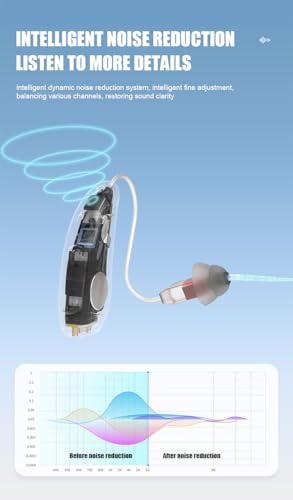 Blue Deer Rechargeable Hearing Aids for Seniors - Digital OTC Hearing Aid with Noise Cancellation 360° Omnidirectional Capture 30Hrs Long Endurance Behind Ear Hearing Amplifiers with Charging Case