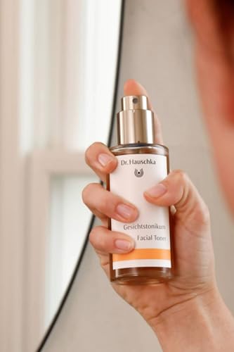 Dr. Hauschka Facial Toner, 3.4 Fl Oz Rose 1.13 Fl Oz (Pack of 3)