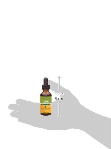 Herb Pharm Coptis Liquid Extract for Digestive Support, 1 Fl oz (Pack of 2) 1 Fl Oz (Pack of 2)