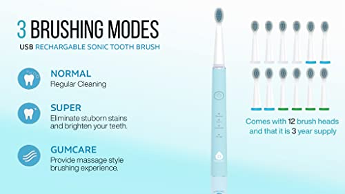 Pursonic Whitening USB Rechargeable Sonic Toothbrush-12 Brush Heads!- 38,000 Brush Strokes Per Minute-3 Brushing Modes with 2 Minute Auto Timer (Green) Green