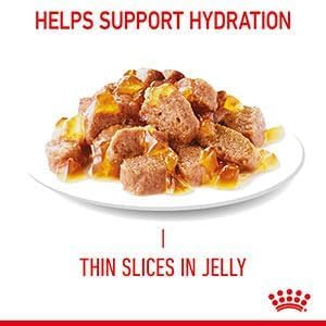 ROYAL CANIN Hairball Care In Jelly Adult Wet Cat Food (Pack of 12)