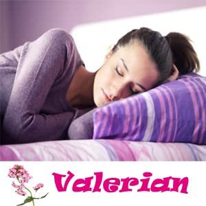 Valerian Root Capsules Organic 500mg Herb Extract Supplement 100 Pills - BeesActive Australia