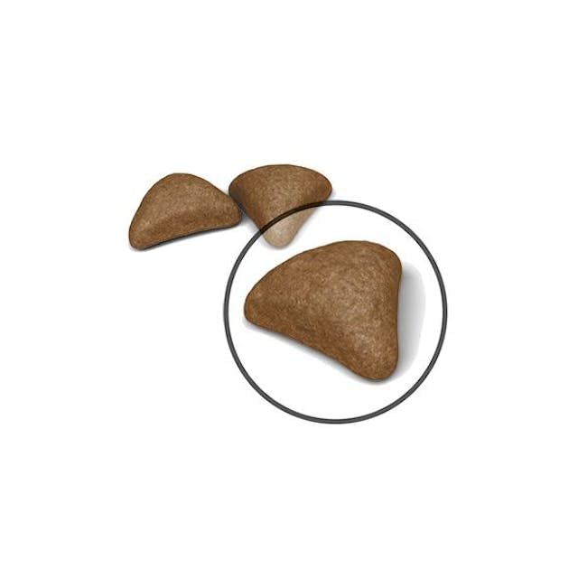 Royal Canin Hairball Care Complete Dry Adult Cat Food 3 x 400g
