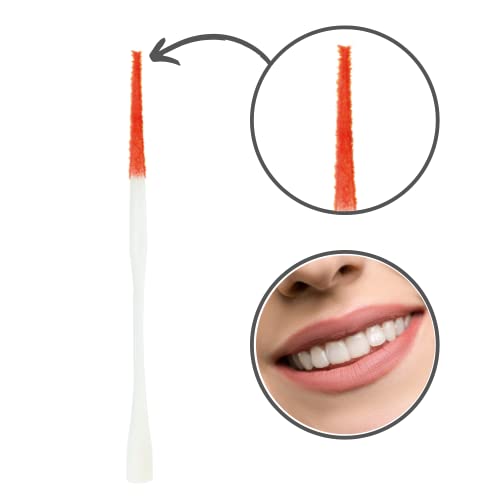 Paro Brush Stick | Interdental Brush Between Teeth, Implants and Braces, Flossing Interdental Tool for Tooth Cleaning | (1 x 10 St) - 6 Pack
