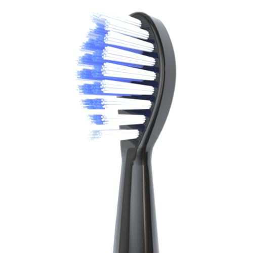 SonicPower Electric Toothbrush Kit, Ultra Portable & Lightweight with 5 Cleaning Modes, 1 Year Supply of Brush Heads, Rechargeable Battery, Mirror Mount & Travel Cap Included (Black) Black