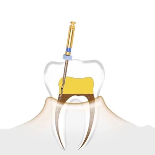 Dental Endo Rotary File X-Pro Gold Taper 6PCS Niti Endodontic Root Canal Files (31MM Assort) 31MM Assort