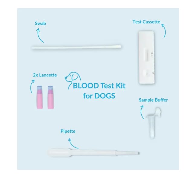 getTested Heartworm Test for Dogs – At-Home Rapid Test Kit, Detect Dirofilaria immitis, Fast Results, Easy to Use Pet Health Check