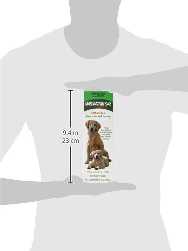 Nutramax Welactin Omega 3 Fish Oil for Dogs, Skin and Coat Health Supplement, Plus Joint, Immune, Kidney, and Brain Support, Premium Omega 3 Fatty Acids, For Dogs, 16 Ounce Liquid 16 oz (480 mL)