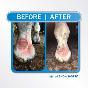 Liquid Bandage, 2 Pack Spray on Wound Care for Horses, Livestock, Large Animal First Aid, Woman Owned Small Business - PawsPlanet Australia