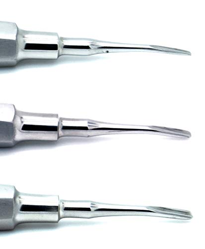 3 Pcs Dental Elevator Root Curved Tip 2mm 3mm 4mm Set — ISO 9001 | CE Marked — Premium Instruments