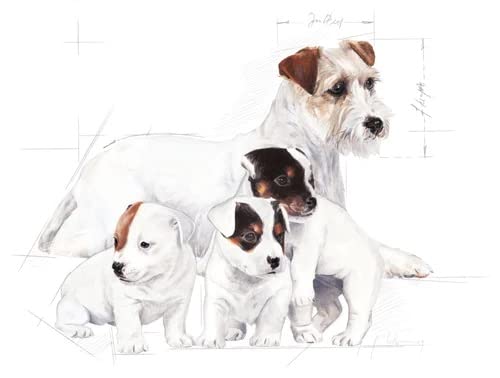 Royal Canin Babydog Milk (400g)