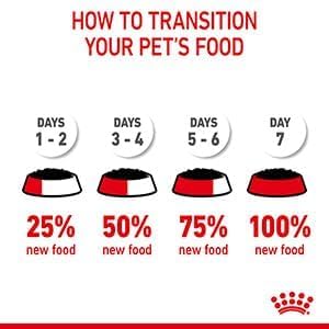ROYAL CANIN Hairball Care In Jelly Adult Wet Cat Food (Pack of 12)