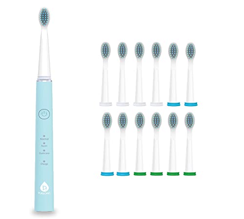 Pursonic Whitening USB Rechargeable Sonic Toothbrush-12 Brush Heads!- 38,000 Brush Strokes Per Minute-3 Brushing Modes with 2 Minute Auto Timer (Green) Green