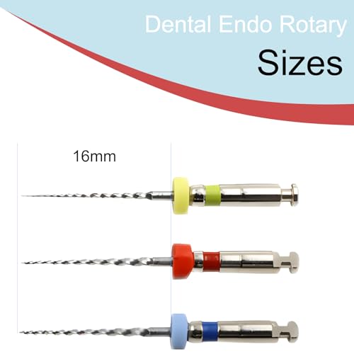 Dental Endo Files NITI Engine File for Endodontic Root Canal Treatment 2004/2504/3004 Pack of 3 Small