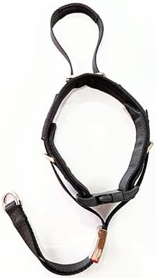PetsProMax No-Pull Dog Headcollar for Large Dogs (Agressive/Reactive Dogs; Instant Stop Pulling; Gentle Training Collar for Dogs; Comfortable, Safe, and Effective Walking/Training Solution (Black, L) 0.5 Inch Wide Large (L) - BeesActive Australia