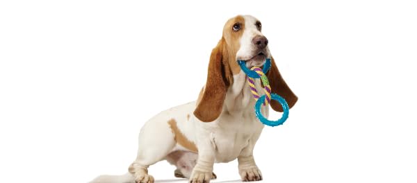 Petstages Orka Dental Links Dog Chew Toy Dental Links - Multi Small Breeds & Puppy - BeesActive Australia