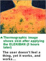PIP ELEKIBAN MAX 200. 12 Magnets. Lasting Effect 2-3 Days/MGNT. Menthol Plus Comfortable Feeling. Circular conical Magnet. Magnet-Therapeutic Device for Muscle Stiffness Product of Japan and Imported - BeesActive Australia