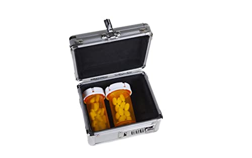 MEDICINE RX SAFE Medication Carrying Case - Mini/Silver Silver 1
