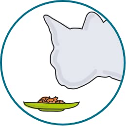 Porus Add One | Flavor Salmon | Double pack | 2 x 30 x 10g | Supplementary food for cats | Delicious pampering snack to mix in with Porus One - BeesActive Australia